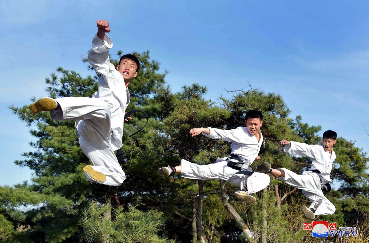 Тхэквондо корейское боевое искусство