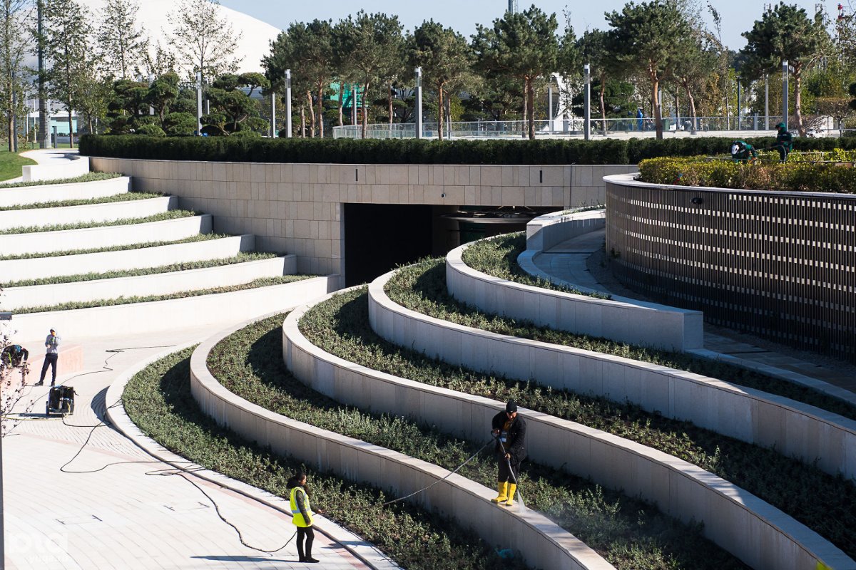 Парк Галицкого в Краснодаре летом