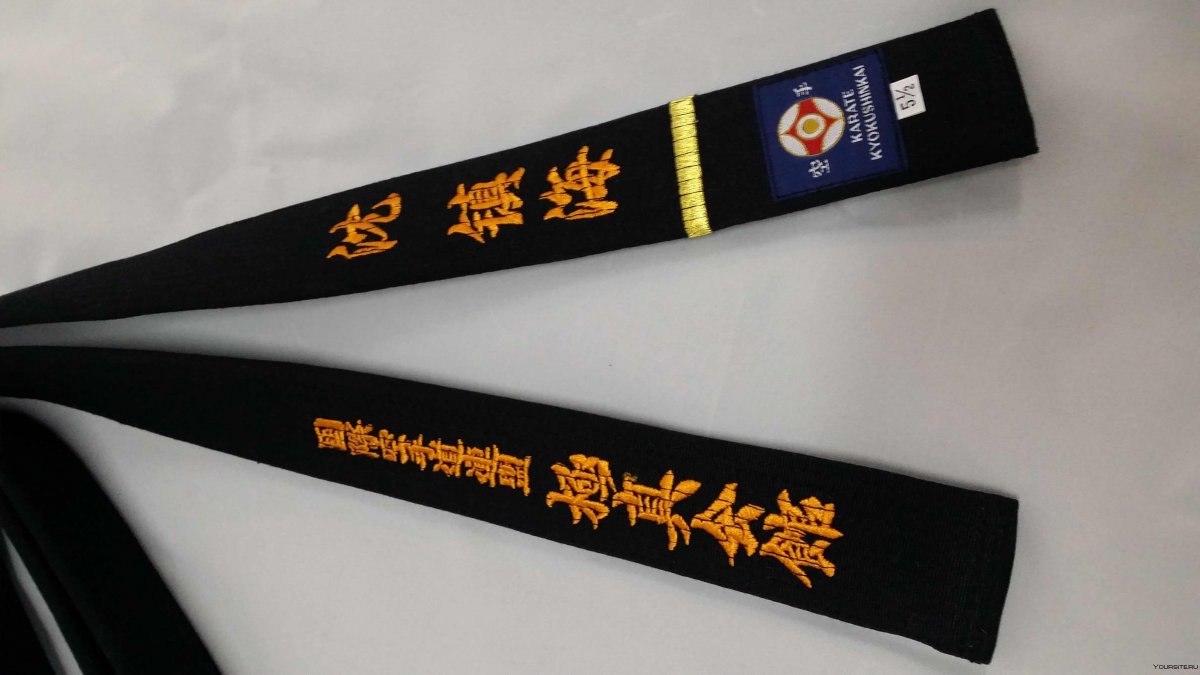 Пояса в карате SHINKYOKUSHINKAI
