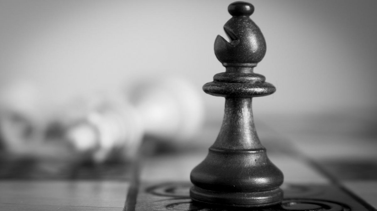 Шахматный слон