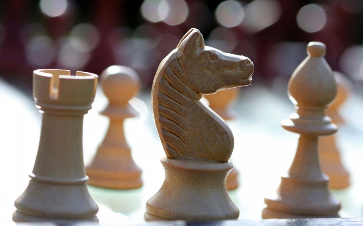 Лошадь шахматы