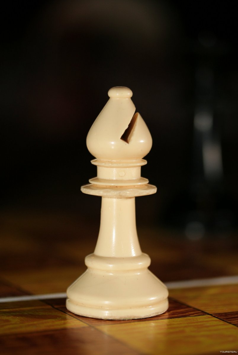 Слон шахматная фигура