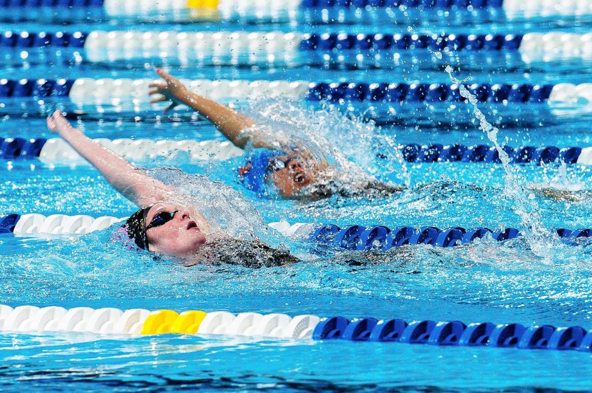 Плавание спортивные группы. Виды спортивного плавания. Плавание Олимпийский вид спорта. Плавание Олимпийские игры. Плавание картинки.