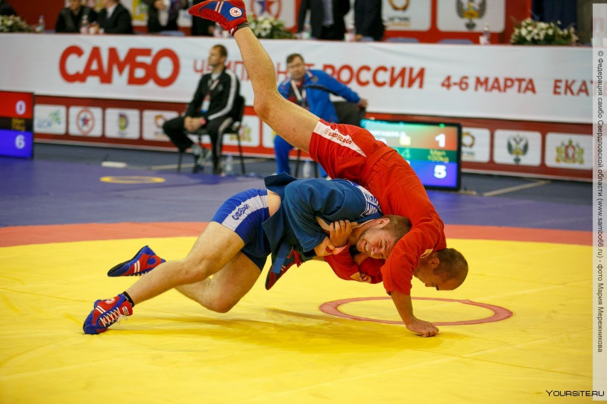 Самбо национальный вид спорта в России