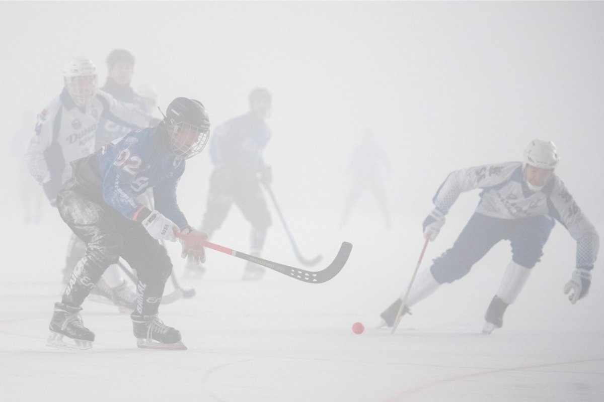 Федерация хоккея с мячом России