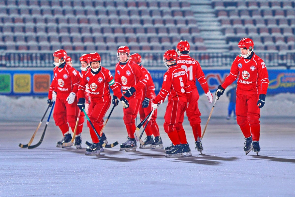 Bandy хоккей с мячом