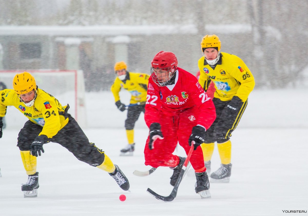 Георгий Нуцубидзе регби