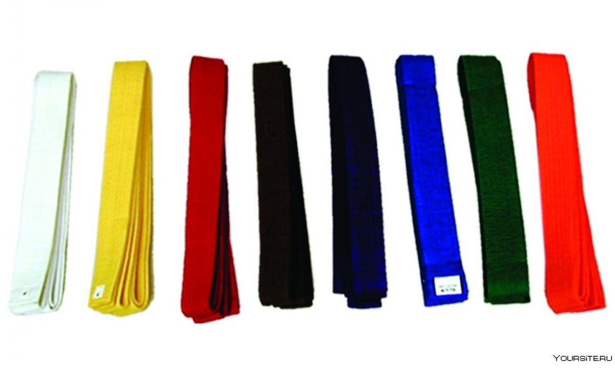 Разряды и звания в дзюдо