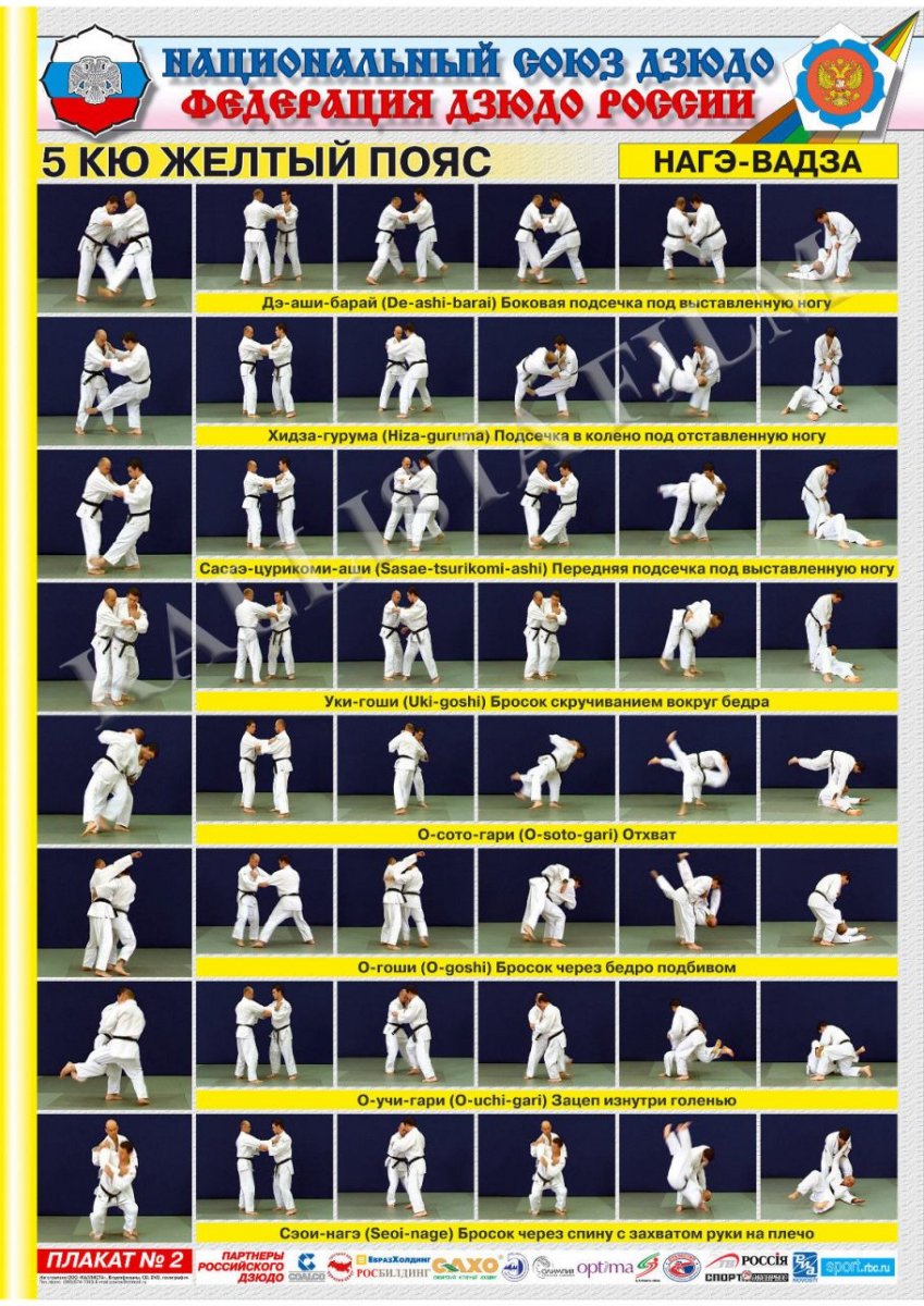 Карате до пояса