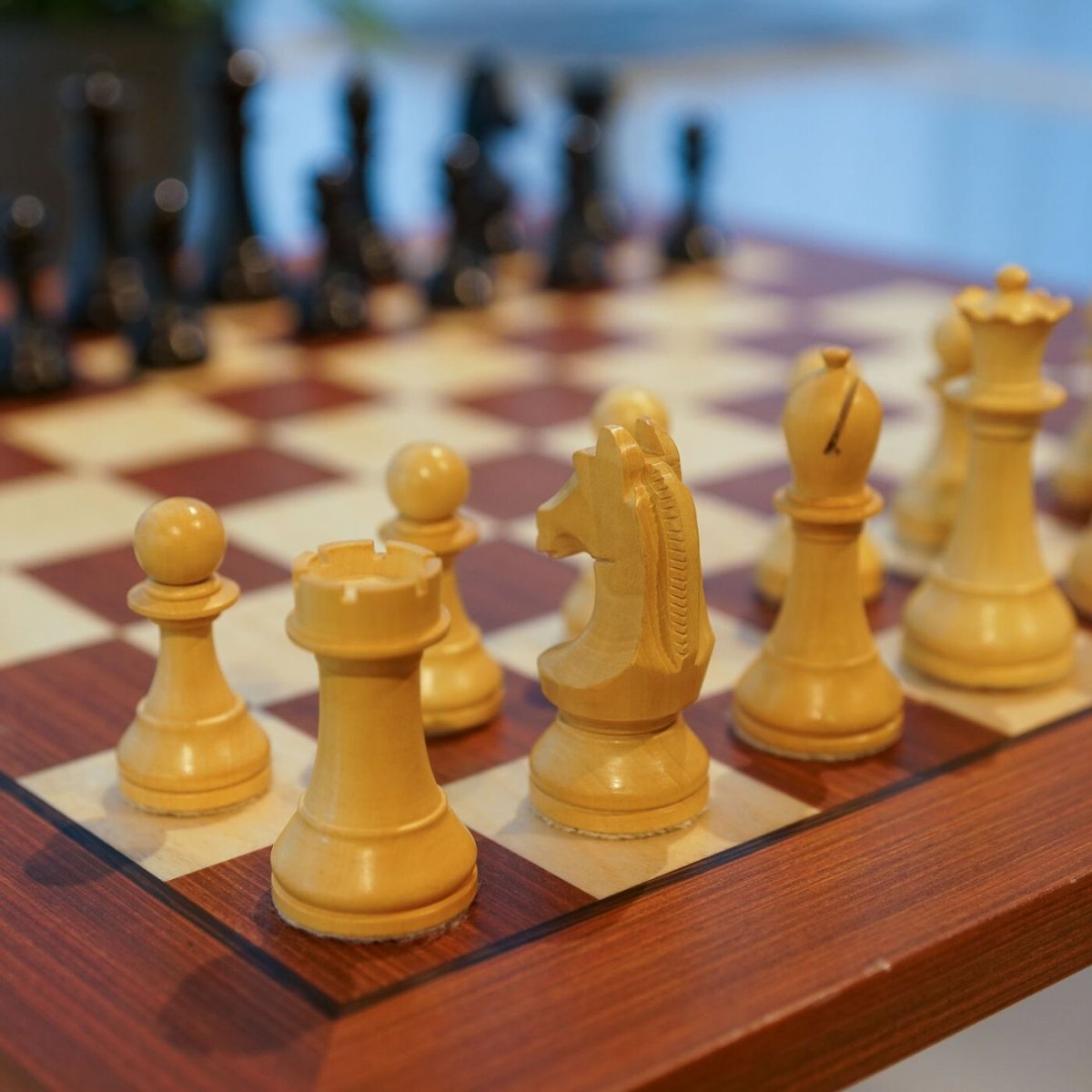 Партия шахматы турнир