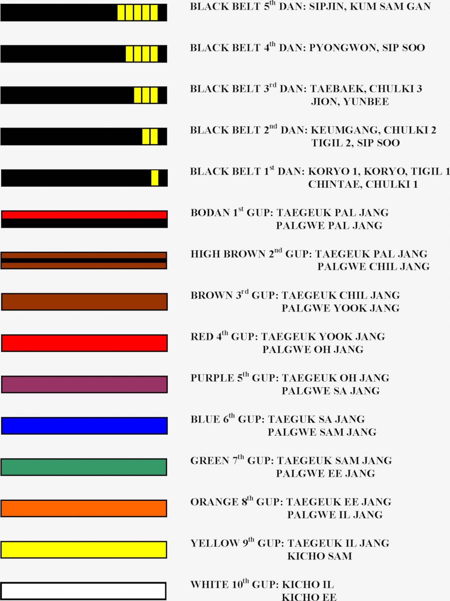 Черный пояс БЖЖ Компетитор