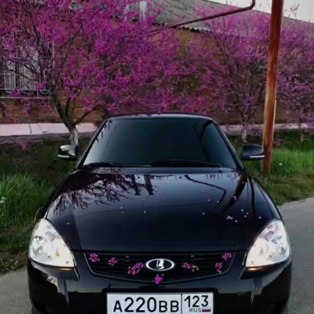 Приора БПАН черная тонированная