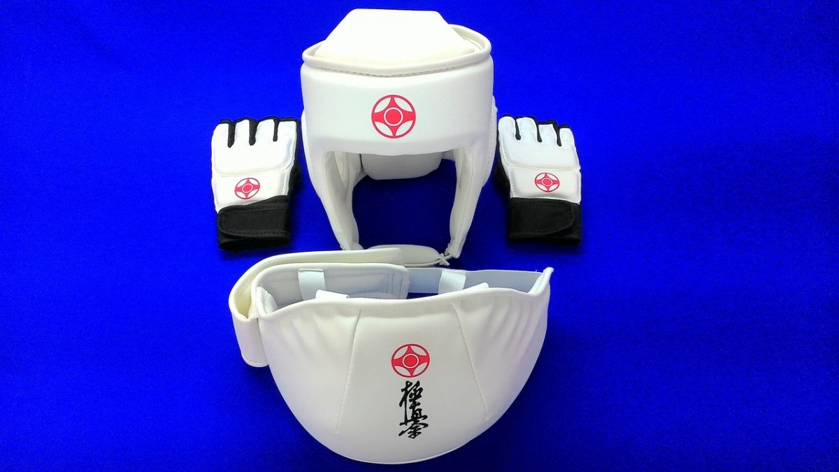 Перчатки для всестилевого каратэ Рэй спорт