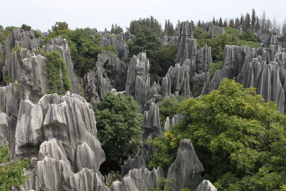 Национальный парк Шилинь (каменный лес)