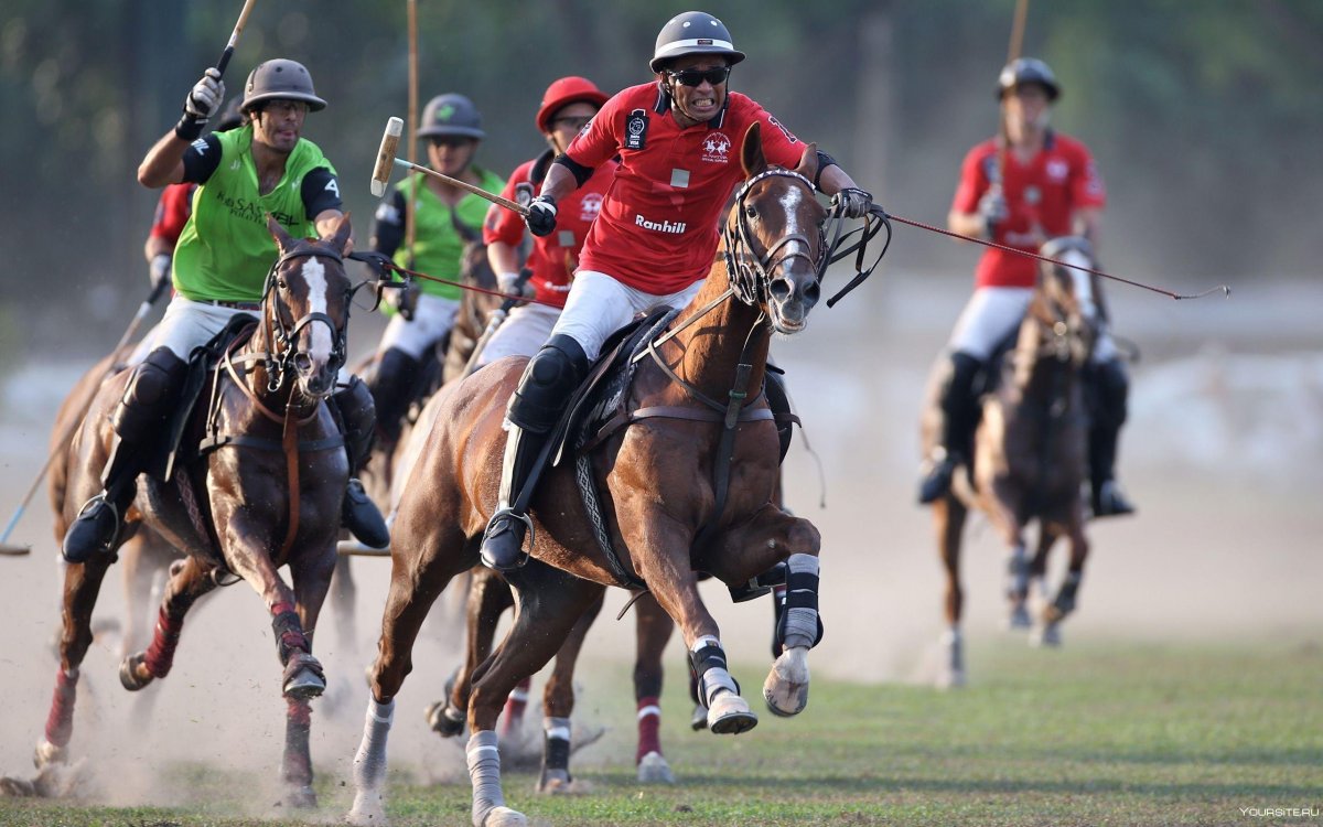 Polo Sport