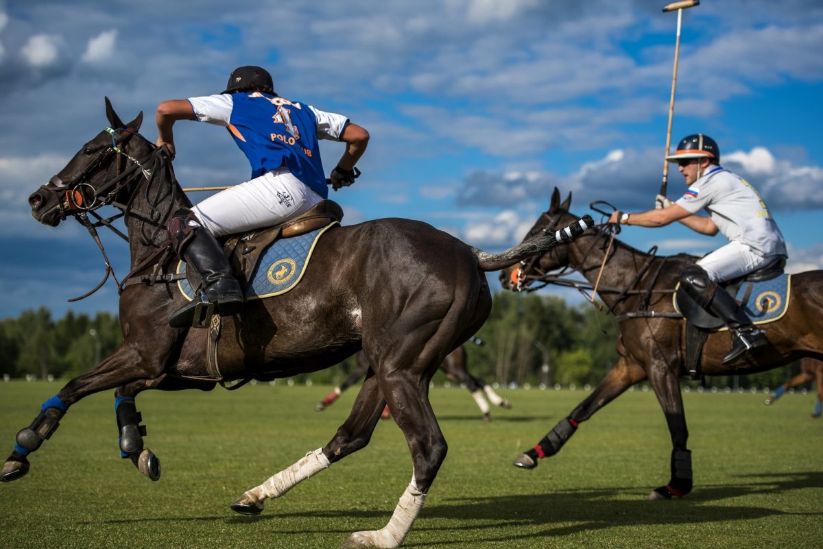 Polo спорт