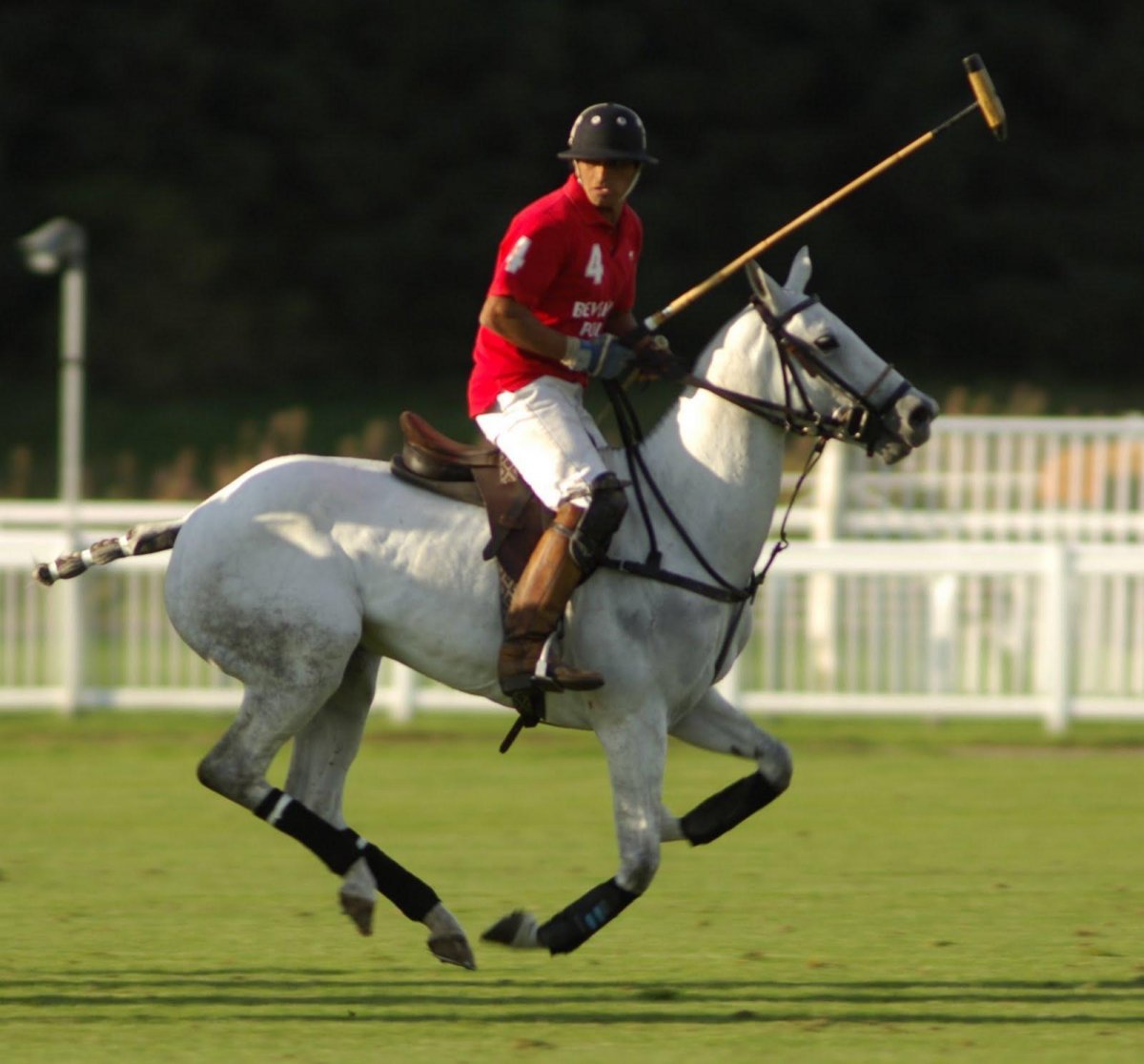 Polo Horseman s9