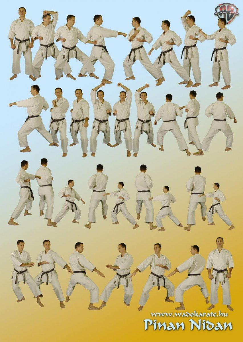 Кимоно каратэ Hayashi Tenno,