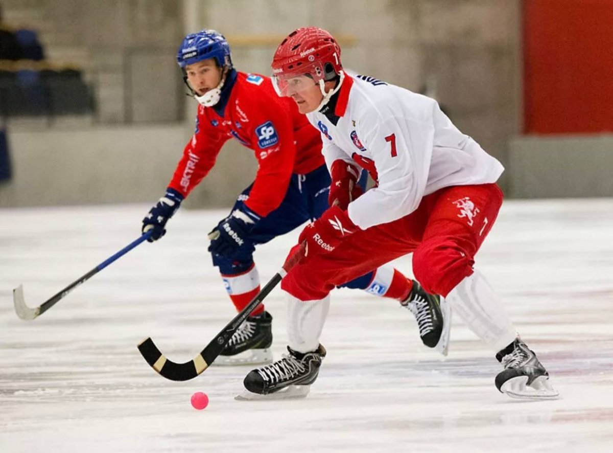 Bandy хоккей