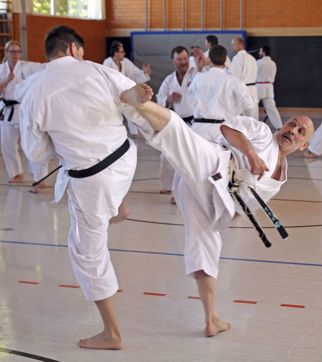 Каратэ WKF кумитэ