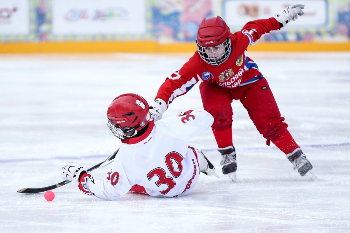 Bandy хоккей с мячом