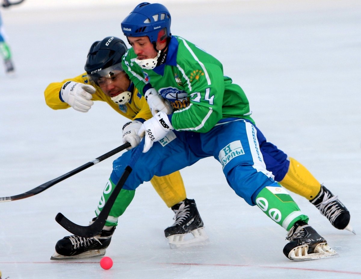 Bandy хоккей с мячом