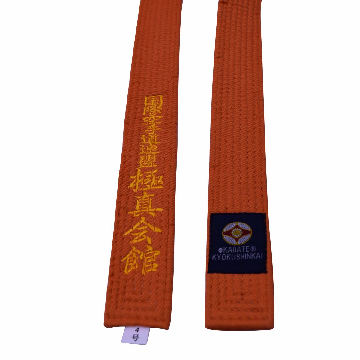 Blue/Brown Belt Taekwondo