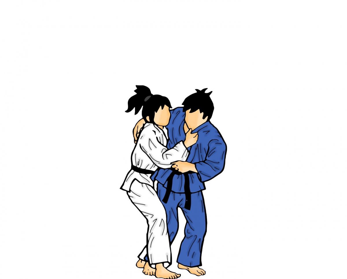 Judo Bear