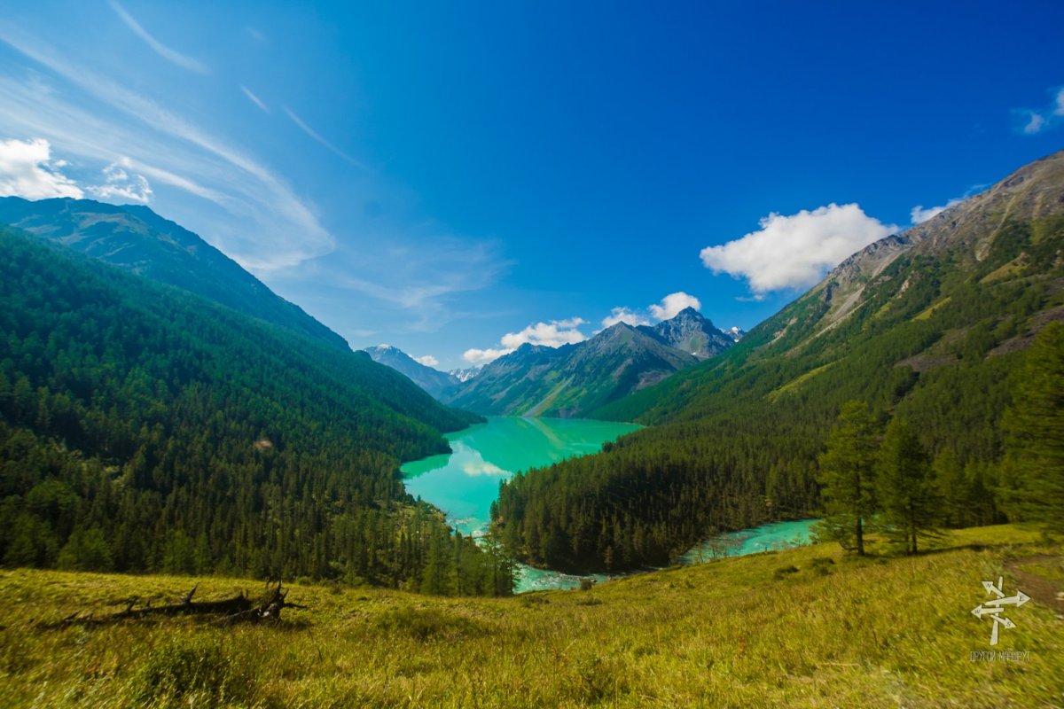 Белуха горный Алтай зелёный