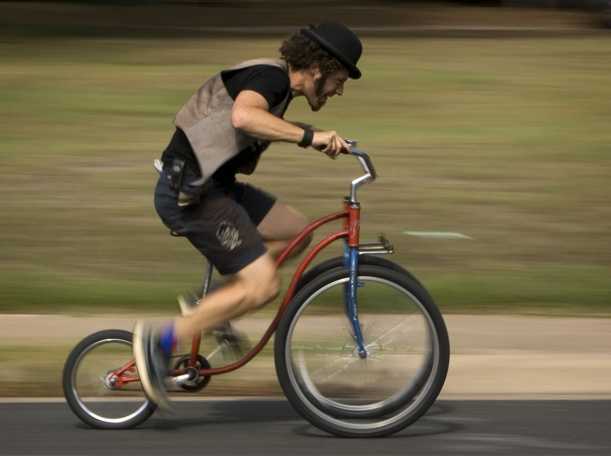 Кот на велосипеде