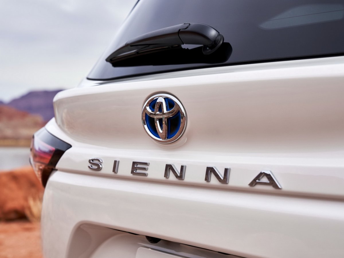 Sienna 3