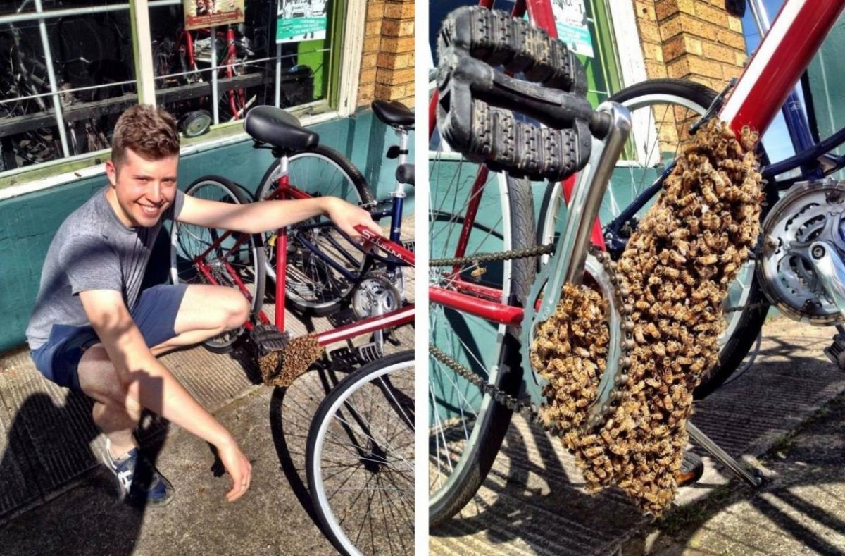 Самые смешные велосипеды