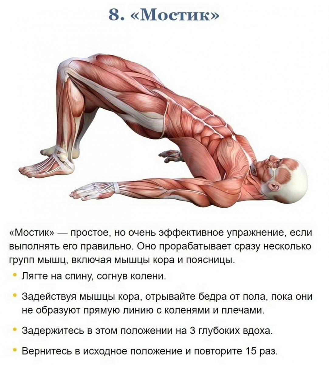 Укрепление мышц кора