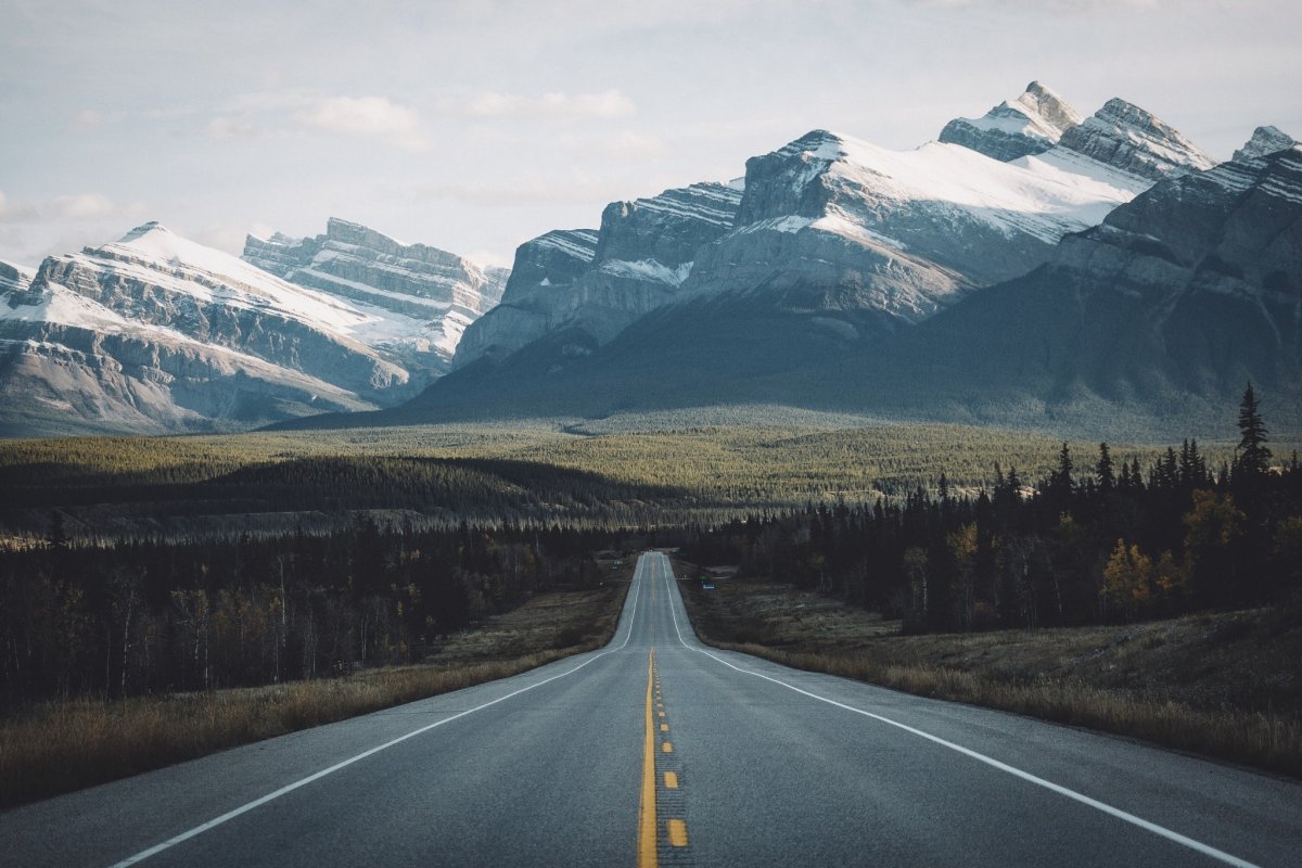 Канада лес дорога горы