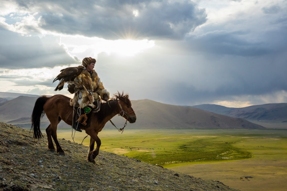 Беркутчи Монголия