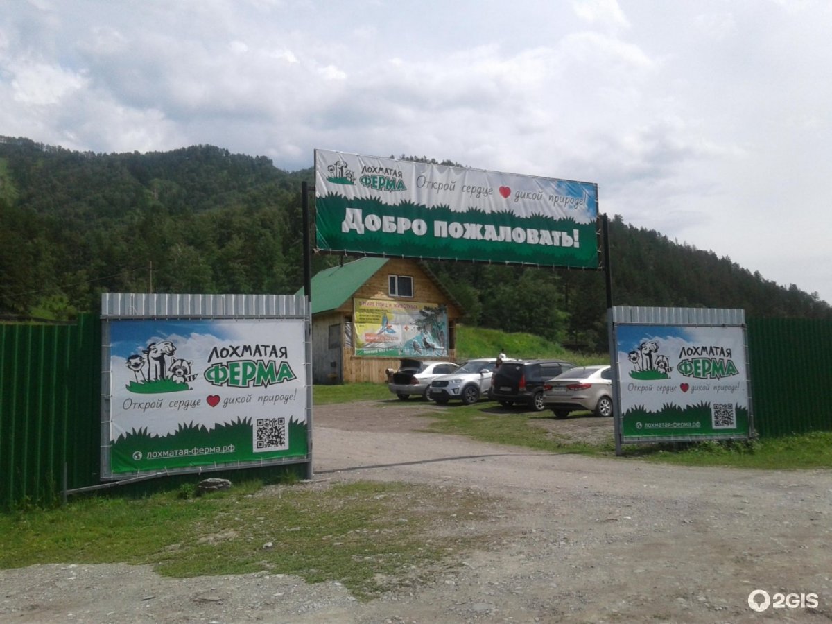 Лохматая ферма в Чемале