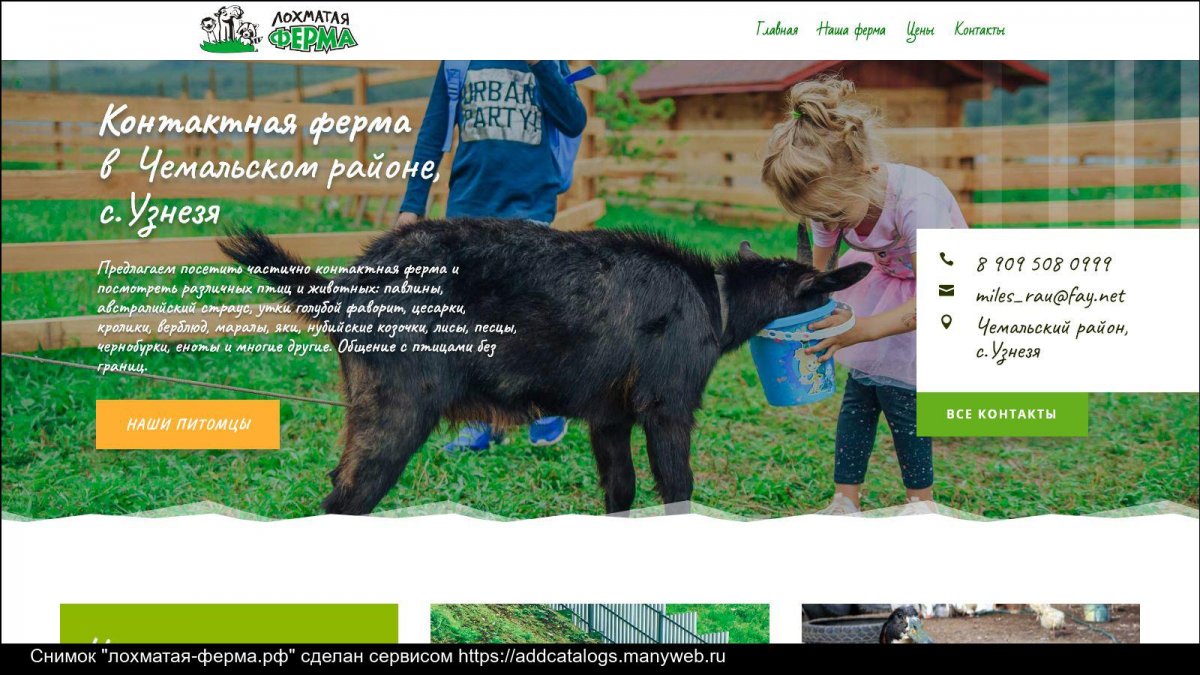 Алтайская Турция