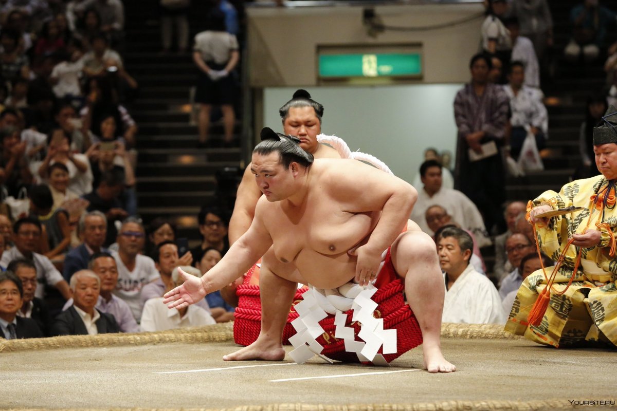 Sumo boys Russian