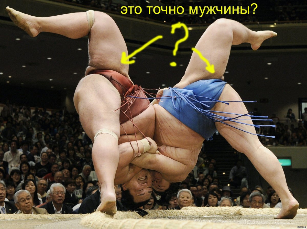 Кабаидзе сумо