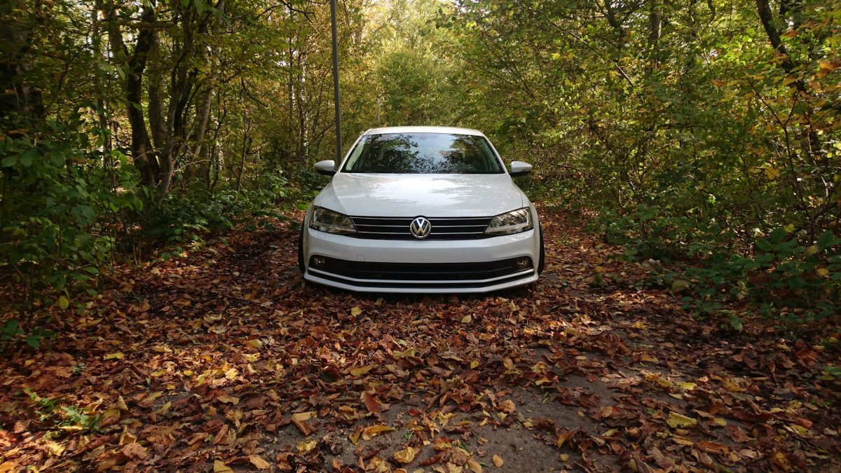 Jetta 6