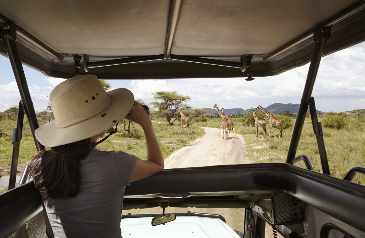 Tanzania Safari турфирма