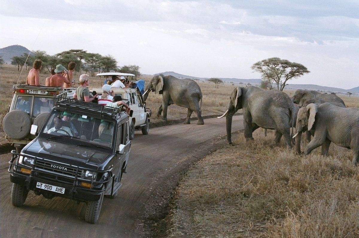 Машина в Африке на экскурсии