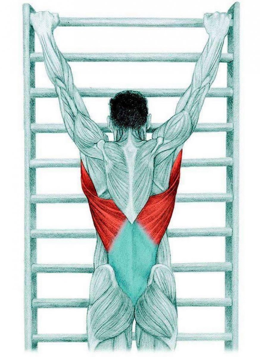 Апоневроз широчайшей мышцы спины упражнения