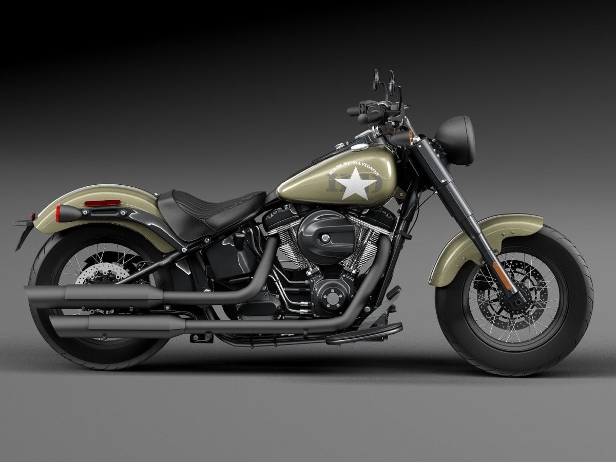 Harley Davidson Softail Custom