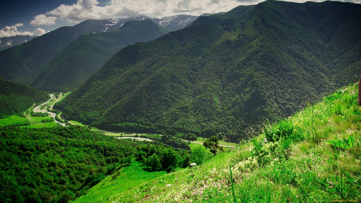 Грузия зеленые горы