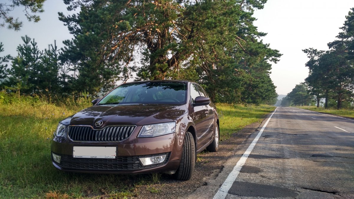 Skoda Octavia a8 зеленая