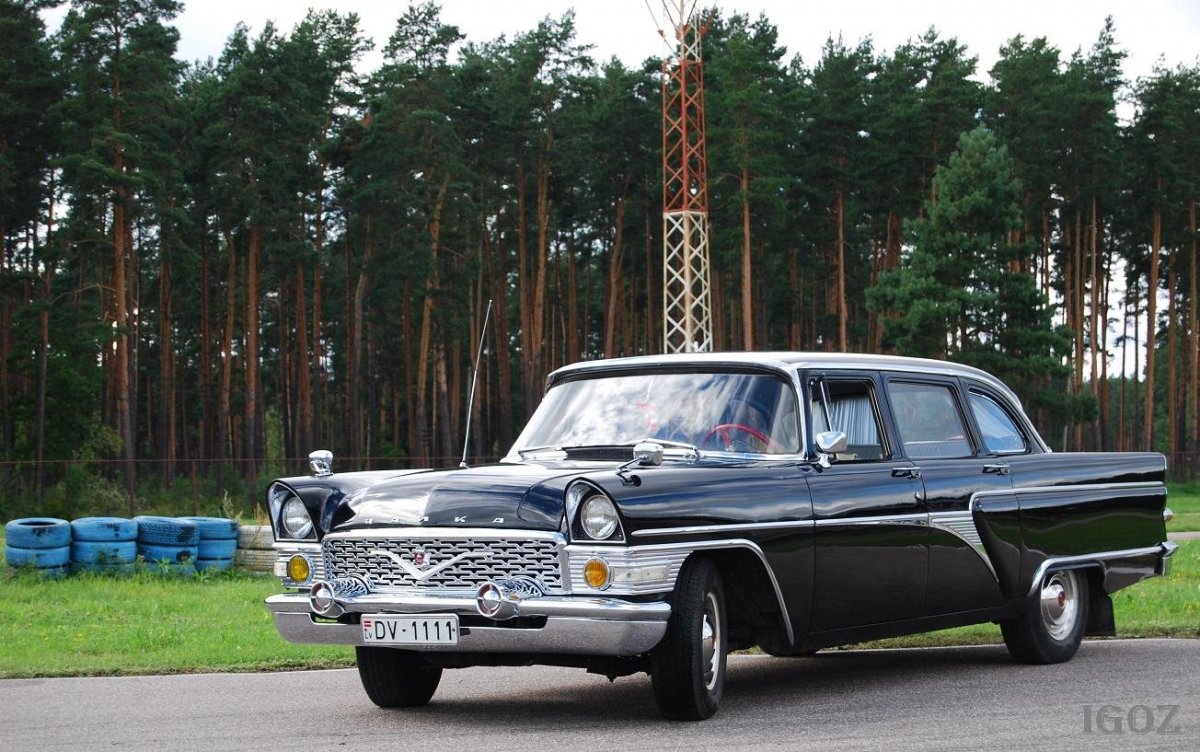 Чайка 113