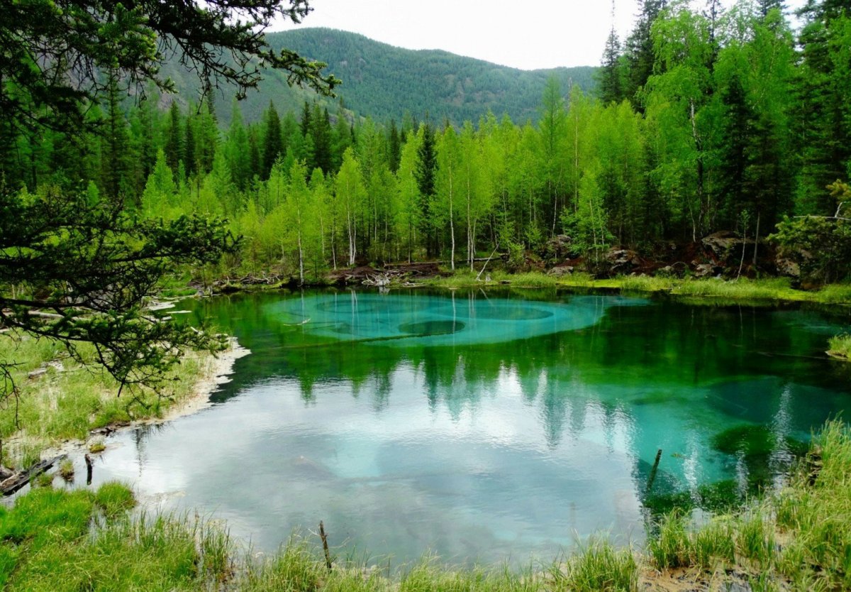 Гейзерное озеро Алтай летом