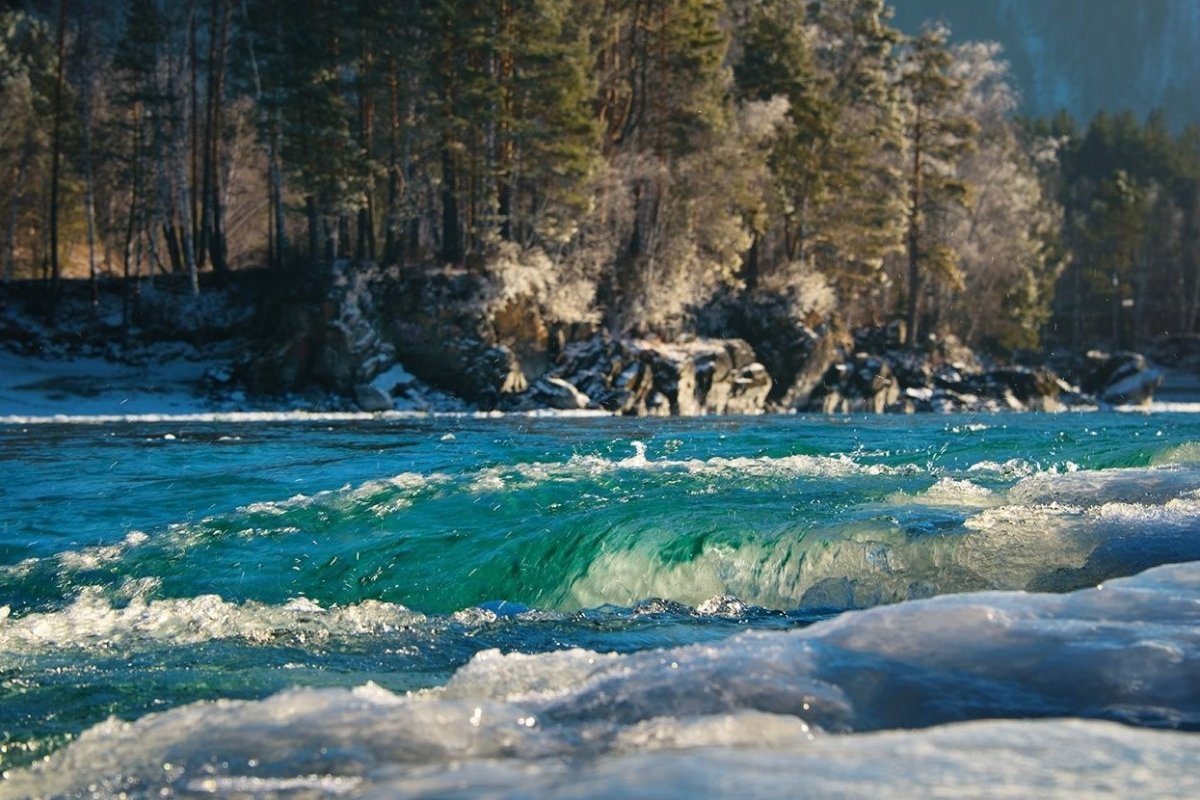 Река Катунь горный Алтай зима