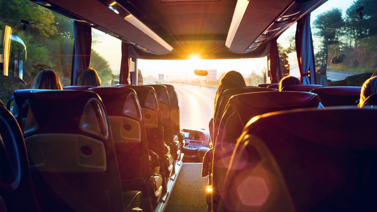 Voyage et Excursion